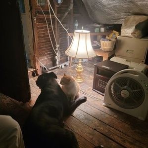 Meet your Posher, Nancy